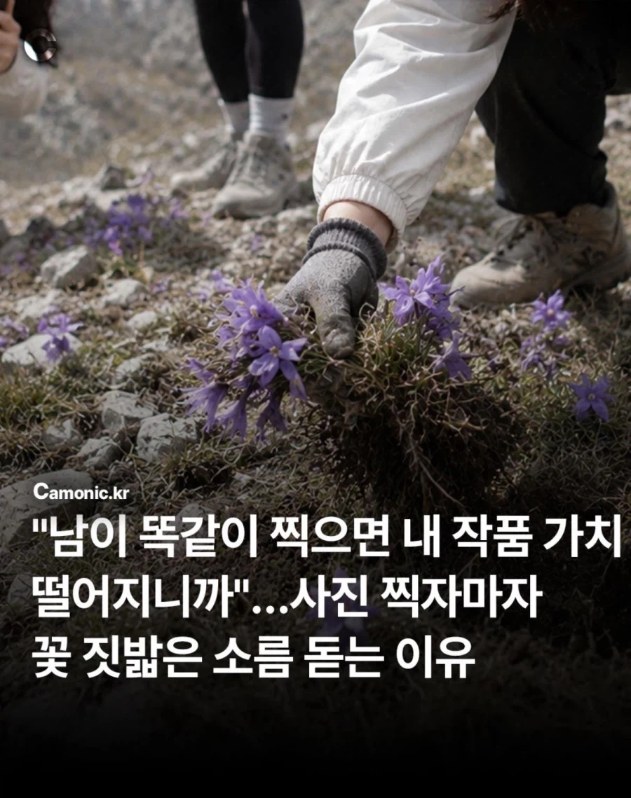 사진작가 동호회 수준_1.webp