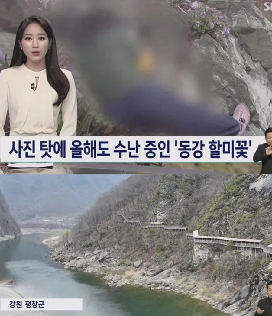 사진작가 동호회 수준_2.webp