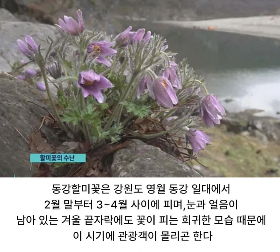 사진작가 동호회 수준_3.webp