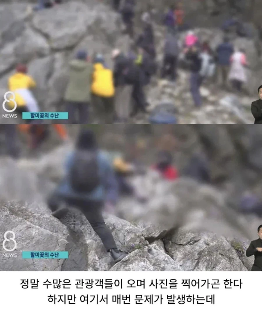 사진작가 동호회 수준_4.webp
