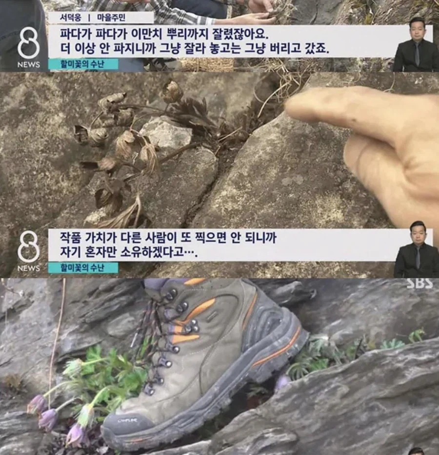 사진작가 동호회 수준_5.webp