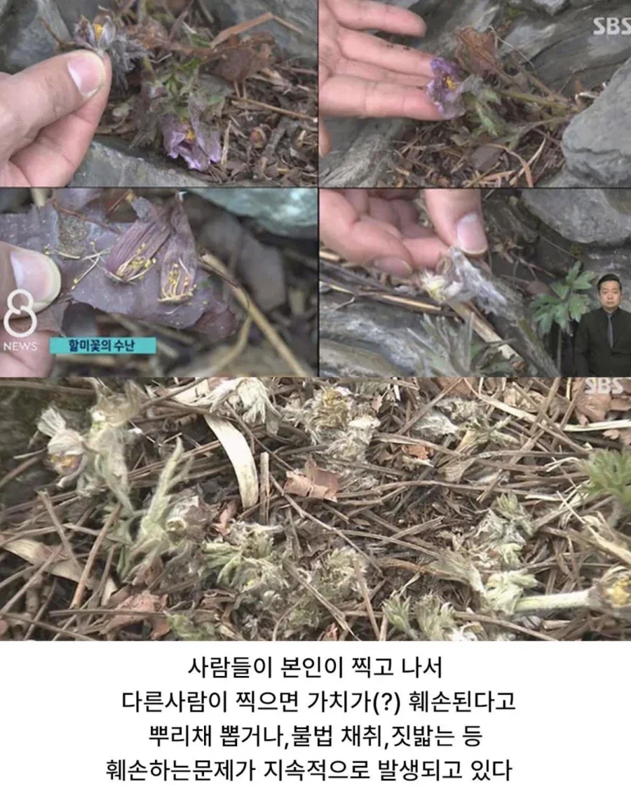 사진작가 동호회 수준_6.webp