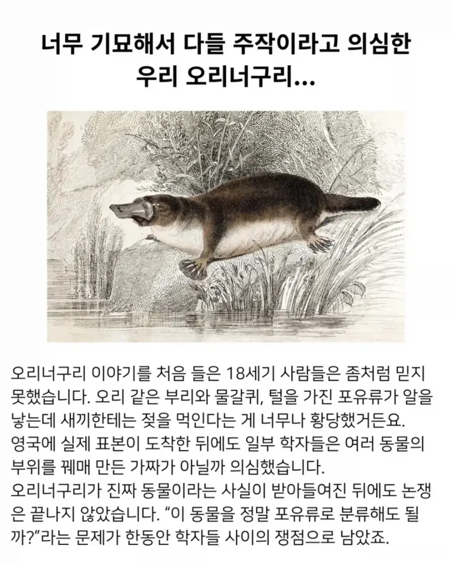 의외로 18세기에 발견된 기괴한 생명체.jpg_12.webp