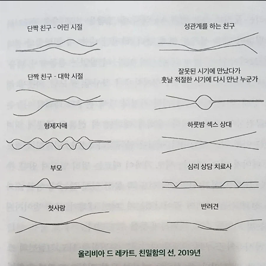 선으로 표현한 관계_1.webp