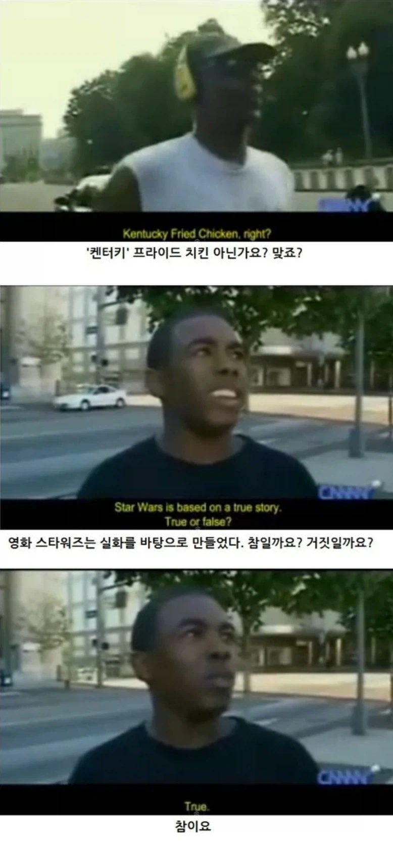 예전, 미국인들 교육 못받은 바보 놀림받던 인터뷰짤.._9.webp