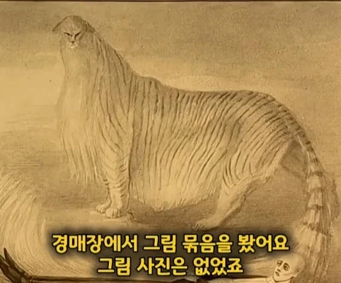 보지도 않고 구매한 그림의 어마어마한 가치.jpg_3.webp