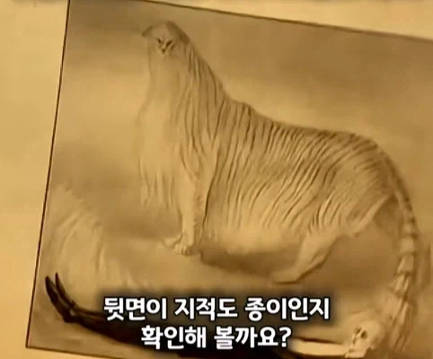 보지도 않고 구매한 그림의 어마어마한 가치.jpg_10.webp