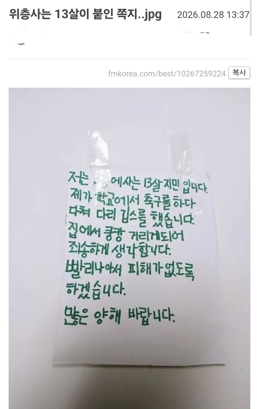 13살 아이의 글을 보고 추억에 잠긴 펨붕이_1.webp