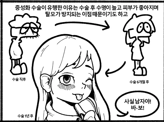 manga_2258952_001.webp