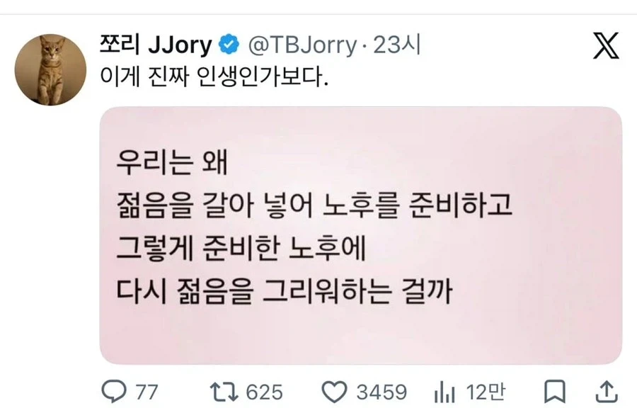 이게 진짜 인생인가 보다.jpg_1.webp