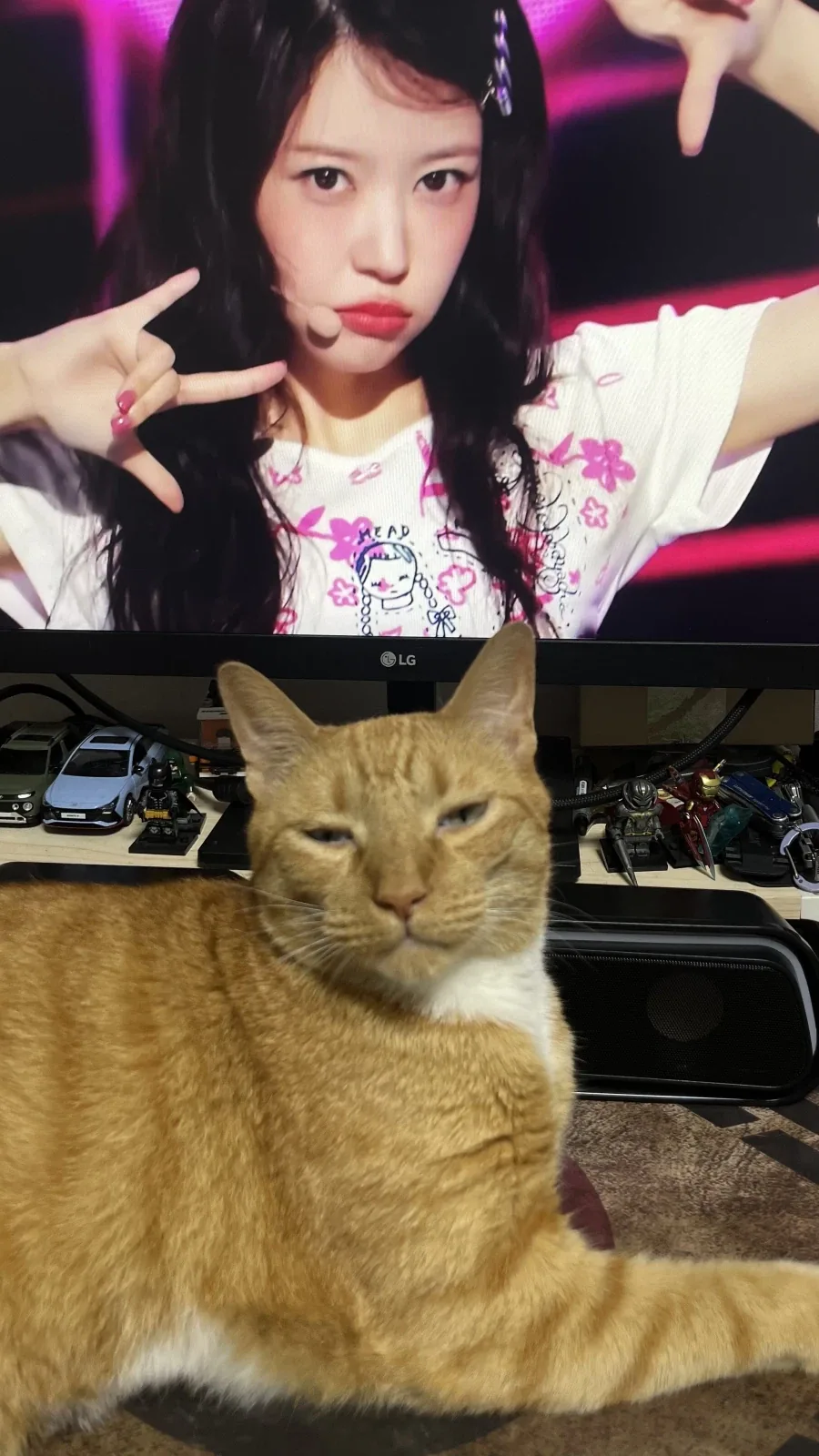 니들은 고양이 키우지 마라_1.webp