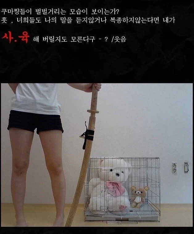 13년전 네이버에 출몰했던 여성 오따꾸_3.webp