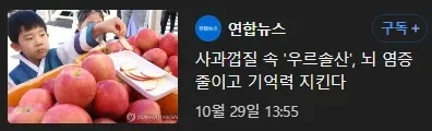 엔드필드)관리자가 기억을 잃은 이유.jpg_1.webp