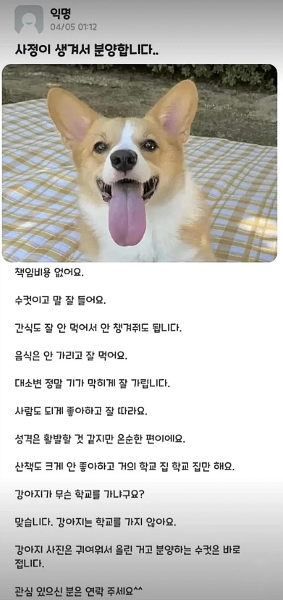 사정이 생겨서 분양합니다_1.webp