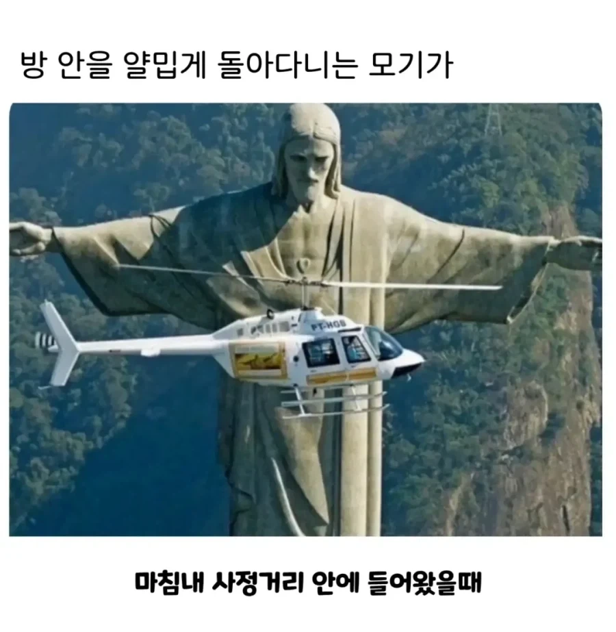 방에서 모기 잡을때.jpg_1.webp