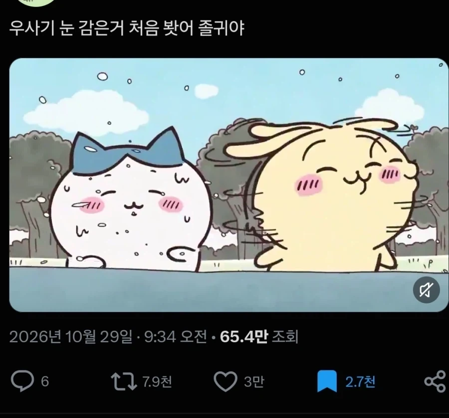 치이카와)우사기가 눈 안감는 이유_1.webp