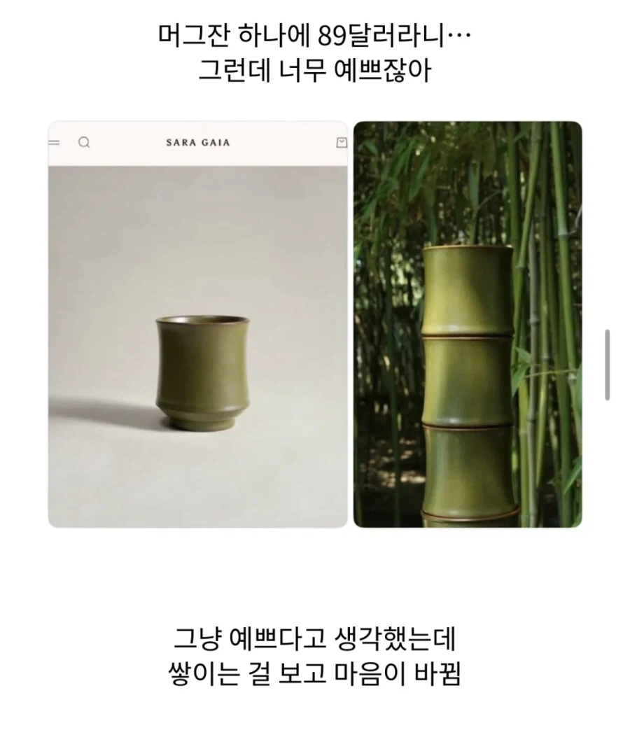 89달러 컵의 충격적인 정체_1.webp