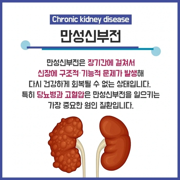 진짜 건강에 좋은 거_3.webp