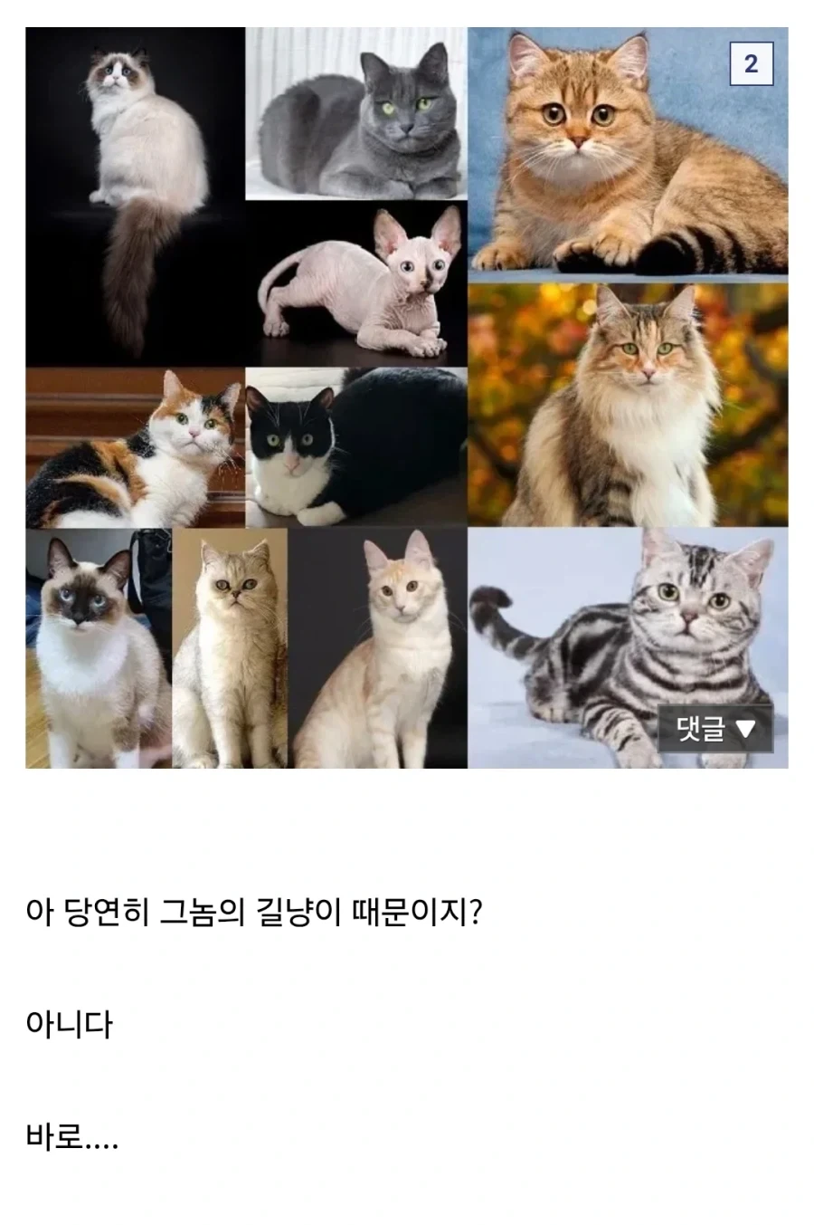 씹.창나고 있다는 울릉도 생태계.jpg_2.webp