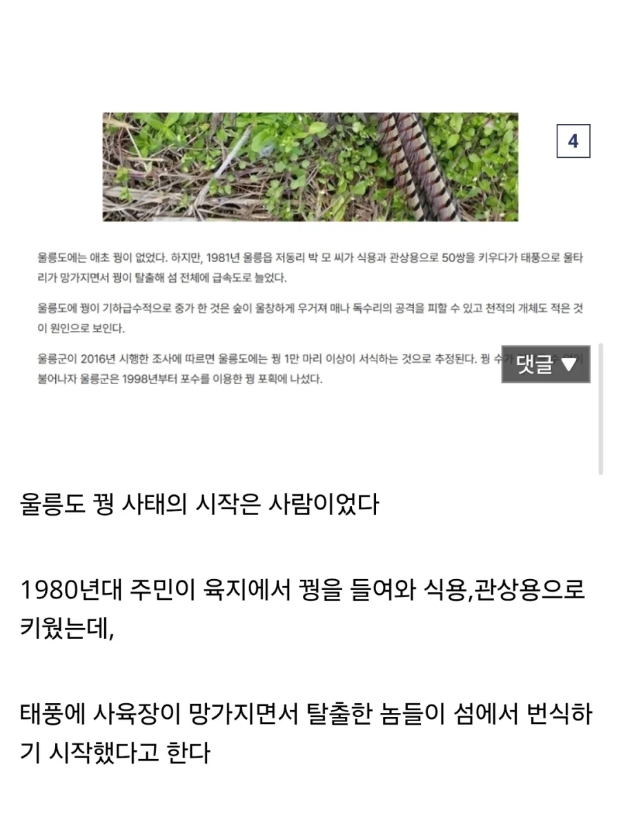 씹.창나고 있다는 울릉도 생태계.jpg_4.webp
