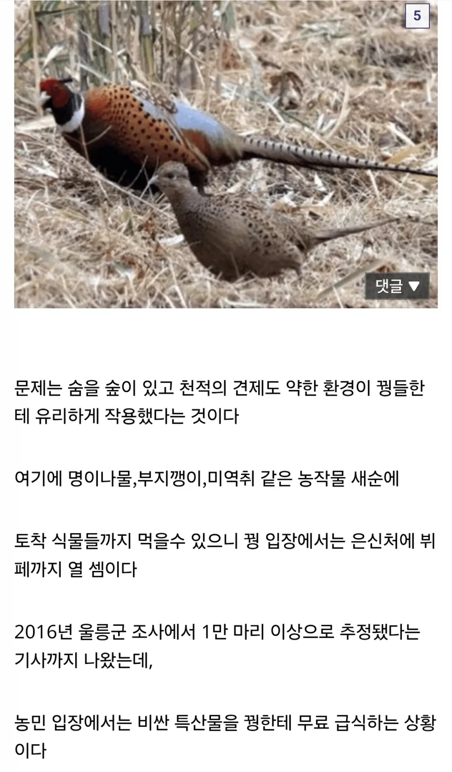 씹.창나고 있다는 울릉도 생태계.jpg_5.webp