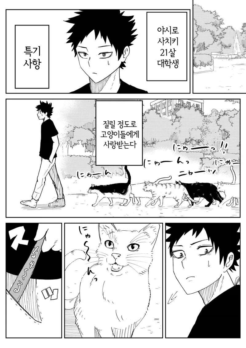 manga_77132004_e3b5_005.webp