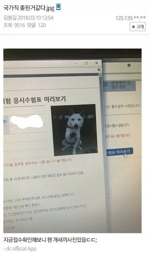 사진첨부 대참사_2.webp