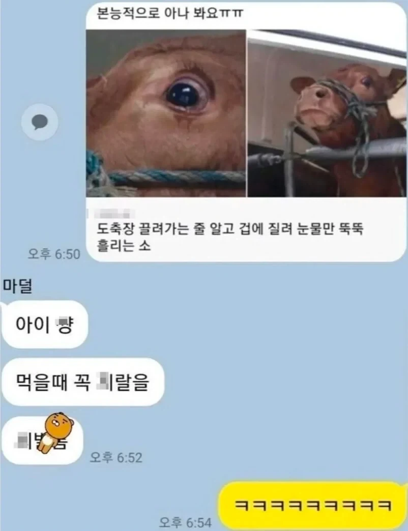 가족간의 카톡.jpe_2.webp