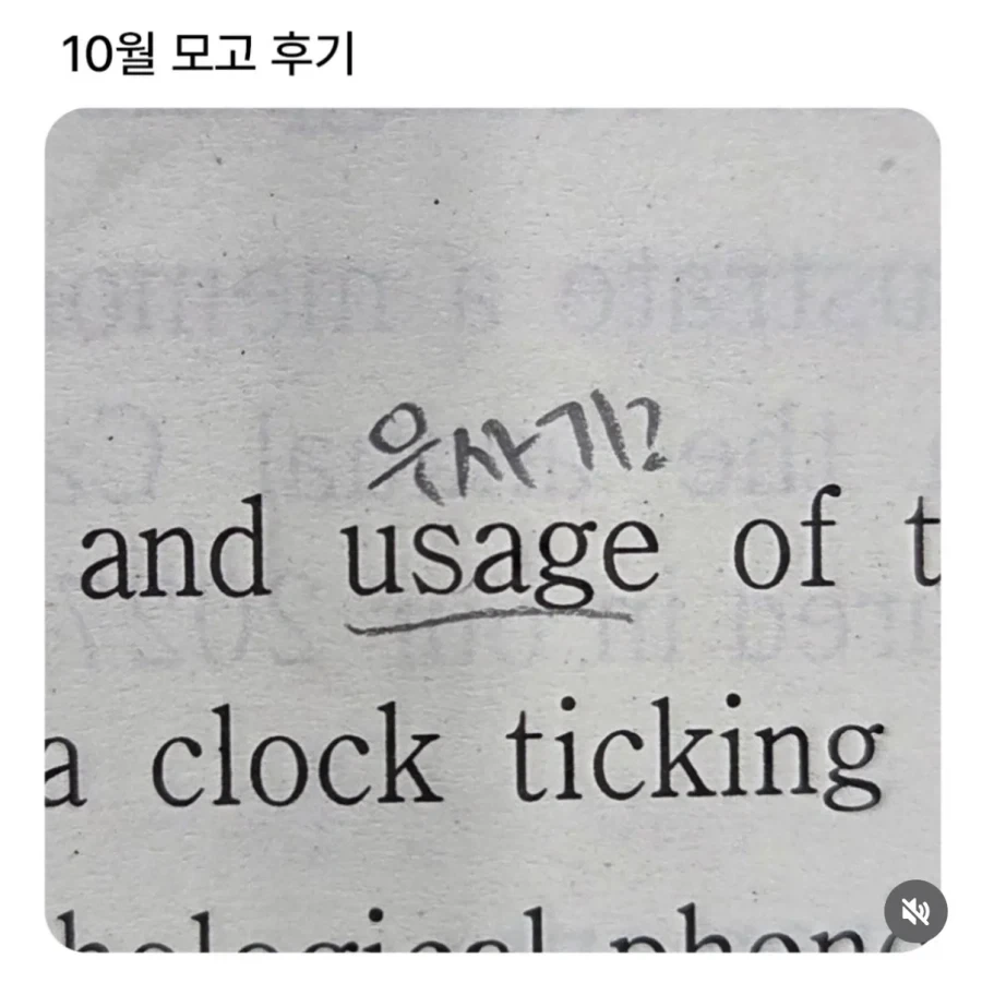 치이카와 유행이 대단한 이유_1.webp