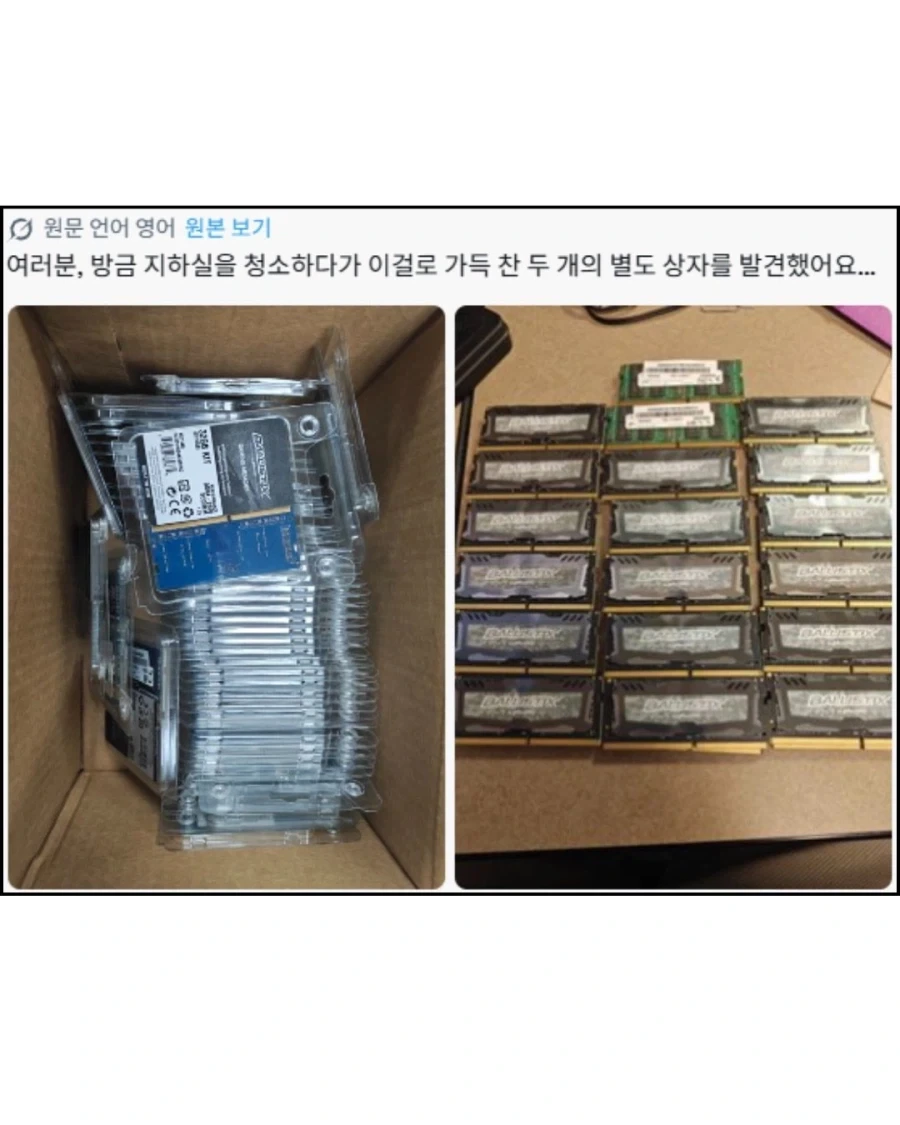 지하실에서 금광을 발견한 외국인_1.webp