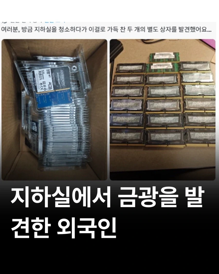 지하실에서 금광을 캔 외국인.jpg_1.webp