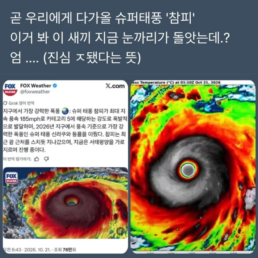 제대로 눈 돌아버린 참피_1.webp