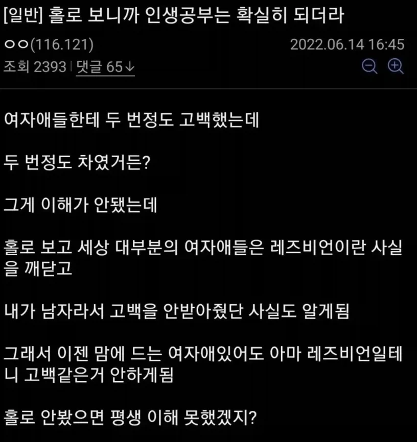 홀로라이브로 인생공부를 한 디시인_1.webp