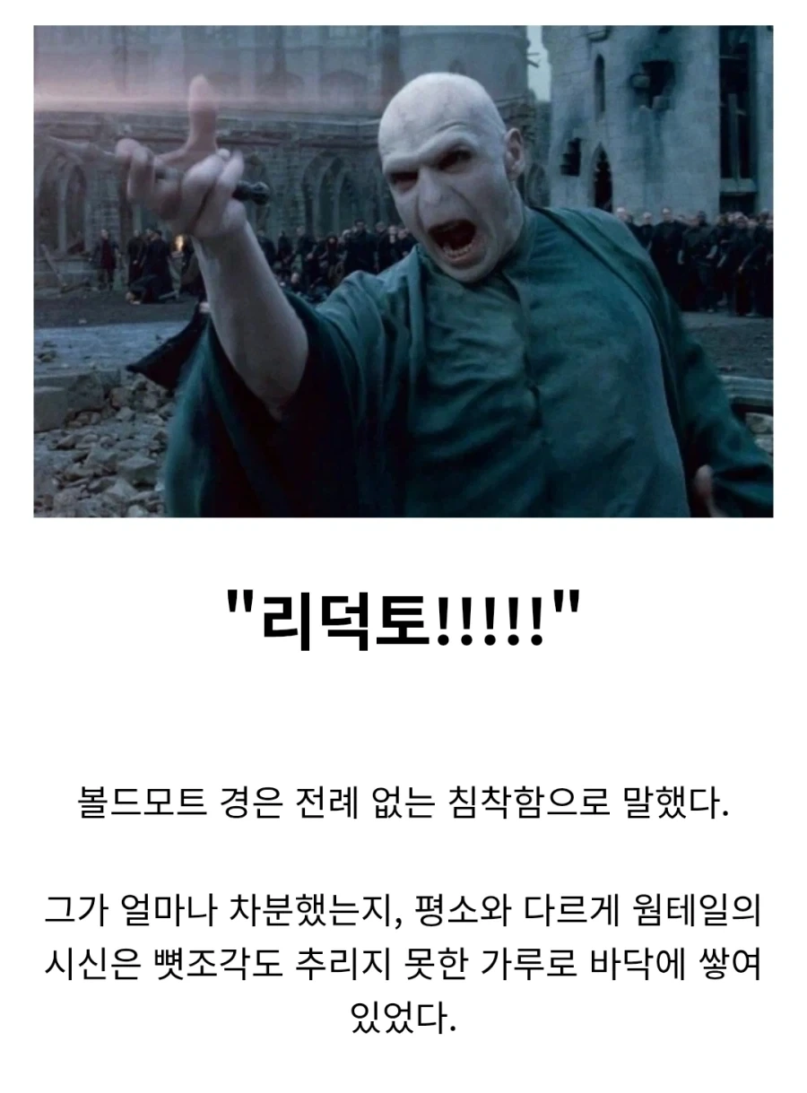 해리포터)