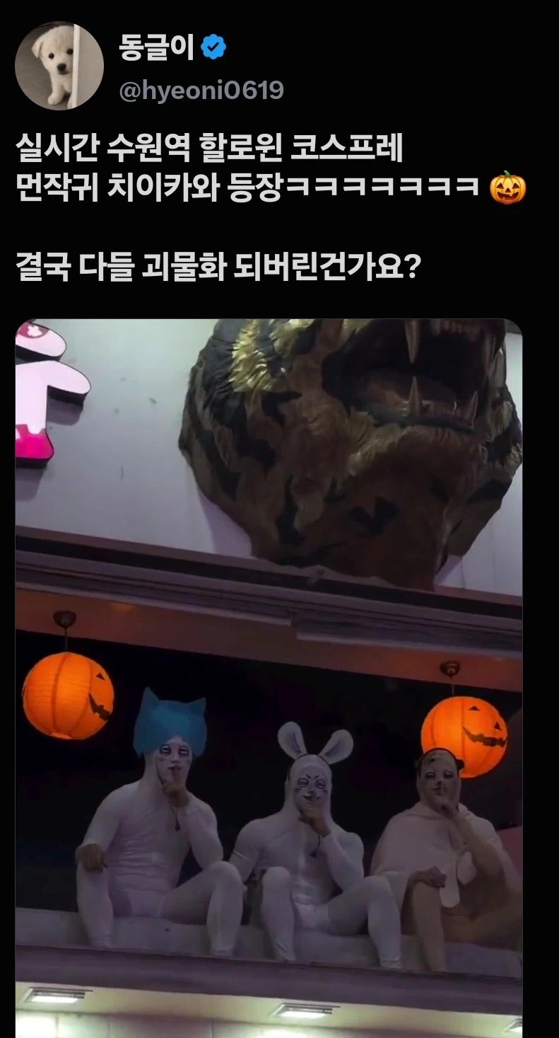 수원역 치이카와 출현_1.webp