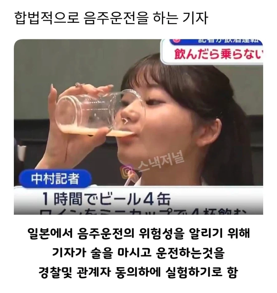 합법적으로 음주운전을 한 기자.jpg_1.webp