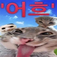 김천 김밥 축제 다녀온 외국 눈나의 소감_3.webp