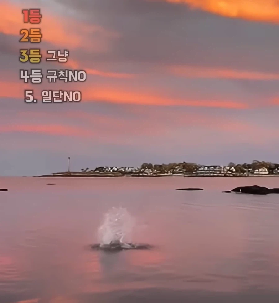 도대체 왜 그런거야_4.webp