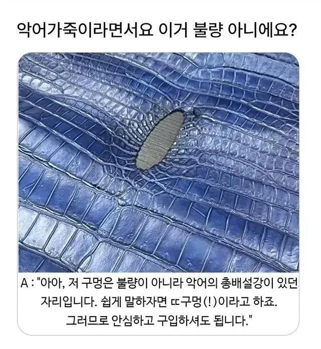 악어보짓살 가방_1.webp