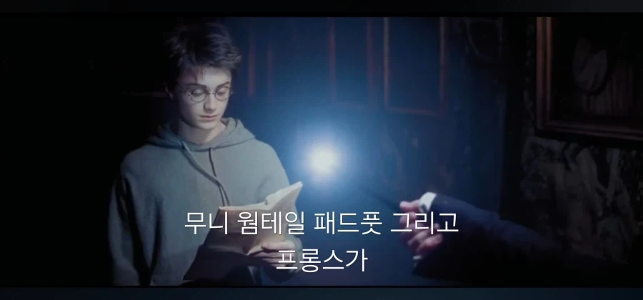 스네이프 제대로 꼽주기_14.webp