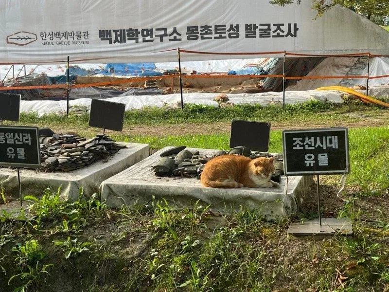 조선시대 유물 jpg._1.webp