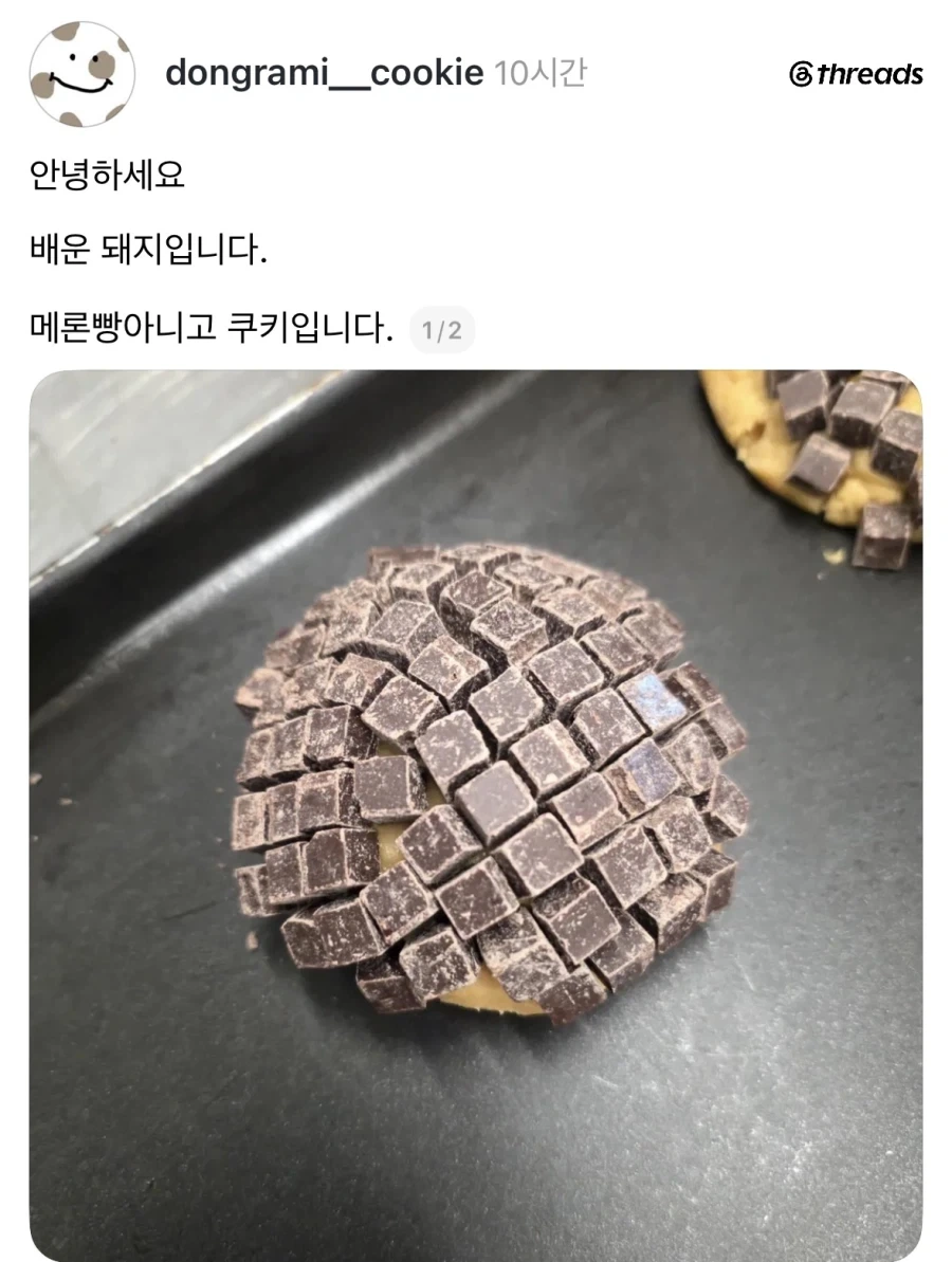 초코쿠키입니다.jpg_1.webp