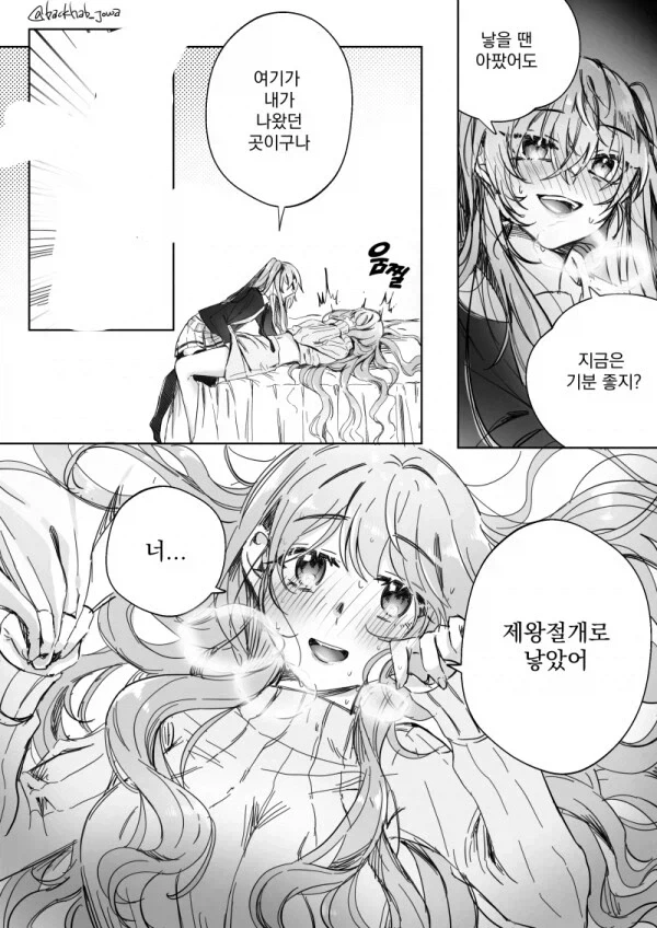 제왕절개 만화 작가가 억울한점_1.webp