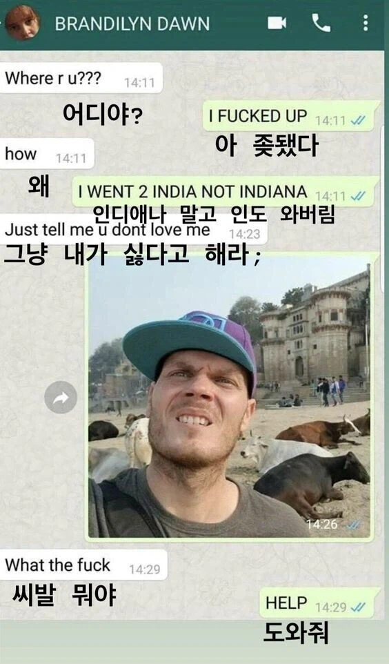 야 친구야, ㅅㅂ ㅈ됐다 … 도와줘….jpg_1.webp