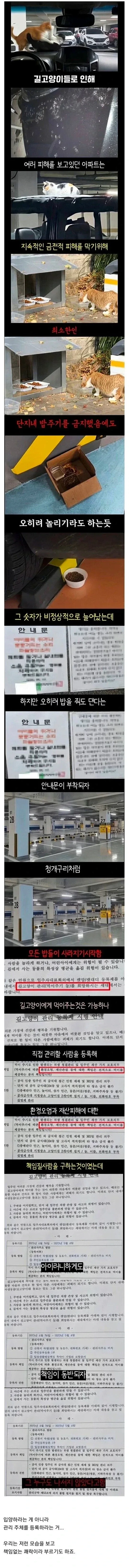 한 아파트 단지의 캣맘들이 사라진 이유_1.webp