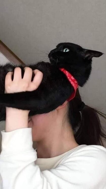 2022_06_1819ef4765d5638e7.jpeg