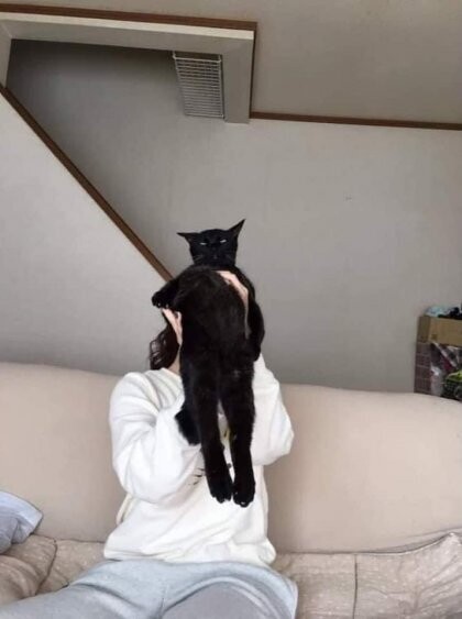 2022_06_1819ef4788f5638e7.jpeg