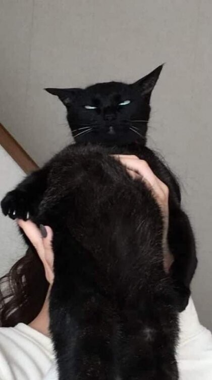 2022_06_1819ef47aa25638e7.jpeg