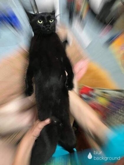 2022_06_1819ef4807b5638e7.jpeg