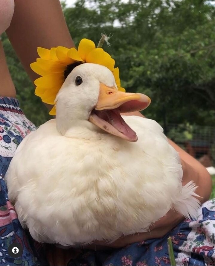 2022_06_181a392d79848e3f2.jpeg